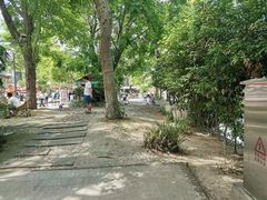 -三道苗苗鱼(三道堰老字号店)