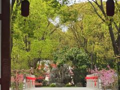 -南汇桃花村