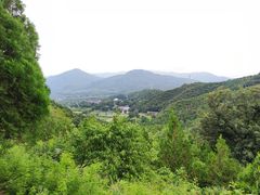 -北京鹫峰国家森林公园