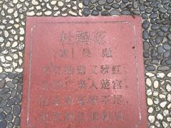 -广西壮族自治区药用植物园