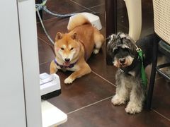 -伽利略剧本探案馆(国贸店)