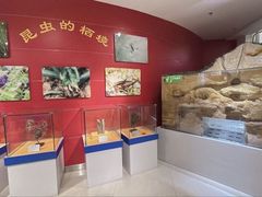 -上海昆虫博物馆