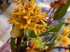 -哈根达斯(济南万象城店)