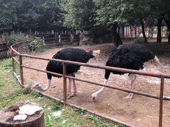 -南昌动物园