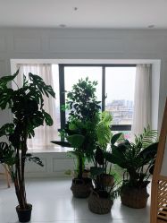 -美宝纪摄影中心(耒阳店)