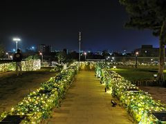 -莫子山公园