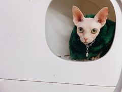 -极木²邸 人与宠物·互动社区