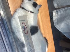 -粥之源(光明路店)