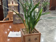 -富豪酒家(正大广场店)