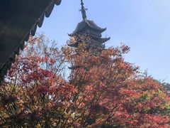 -常熟方塔园