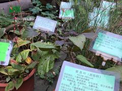 -杭州胡庆余堂第二中医门诊部