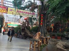 iphone_upload_pic-丝绸之路山地度假区滑雪场