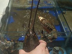 -映像威海·海鲜味道(经区店)