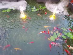 -濮园 · 四合院餐厅