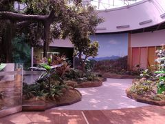 -陕西自然博物馆