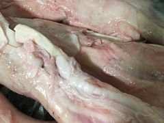 -菜园坝水果市场