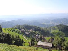 -紫鹊界梯田景区