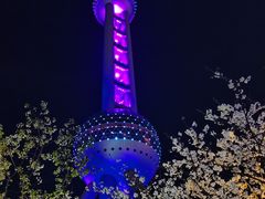 -东方明珠广播电视塔