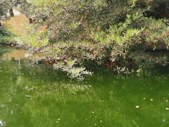 -华南国家植物园-售票处