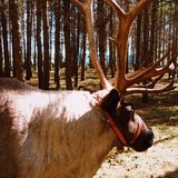 自驾内蒙乌兰布统 只有感悟的旅行🧳