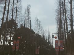 -青城道汤池
