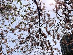 -成都市活水公园