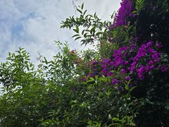 -楠柏弯休闲山庄(梨花溪店)