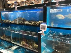 -盒马鲜生(曜一城店)