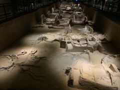 -洛阳周王城天子驾六博物馆