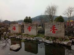 -香雪海