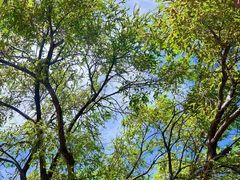 -东华门大街小区