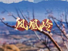 -北京凤凰岭