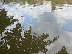 -平乐古镇