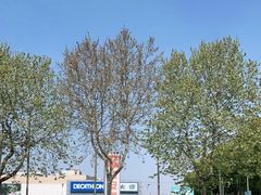 -迪卡侬(雨花店)