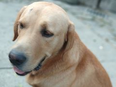 -乌岩头民俗博物馆