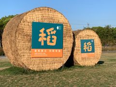 -嘉北郊野公园