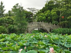 -惠州西湖丰渚园
