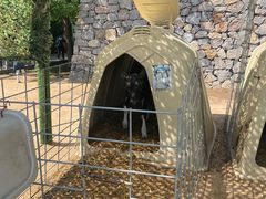 -君乐宝优致牧场