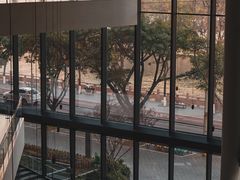 -四川大学博物馆
