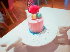 火烈鸟-随心小姐