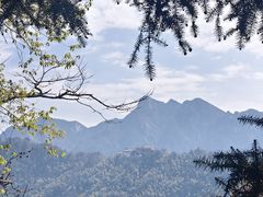 -九华山风景区