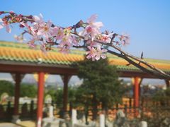 -宝墨园景区