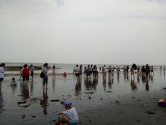 -南汇嘴观海公园