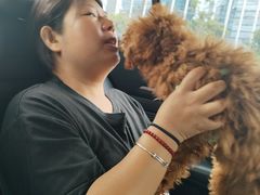 -中农国际动物医院24小时·猫科·骨科·急重症中心