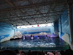 -秦皇岛乐岛海洋王国