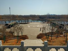 -永定河休闲森林公园