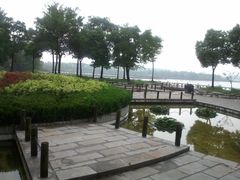 -溱湖国家湿地公园