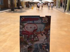 -鼎龙湾德萨斯水世界
