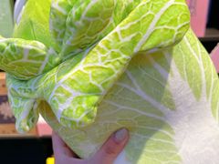 -酷乐潮玩(金桥国际店)