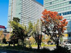 -秋叶原电器街